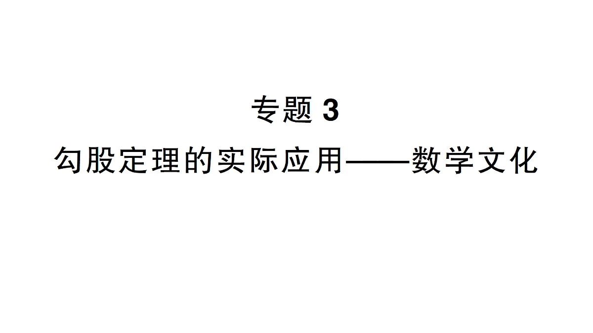 18384863第1页