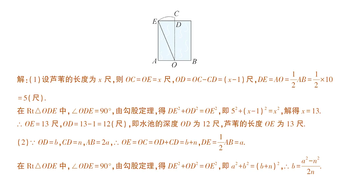 18384863第3页