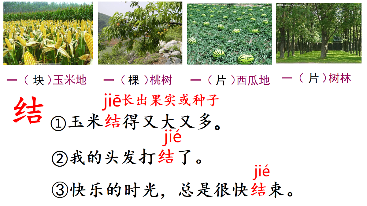 18385423第6页