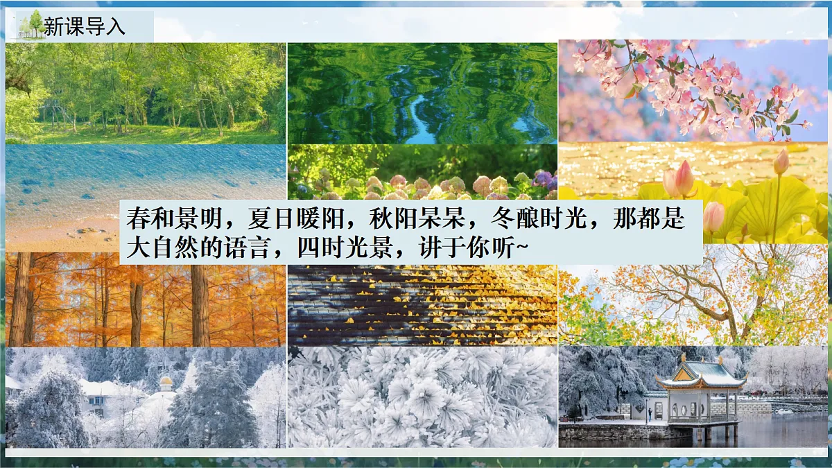 18385934第7页