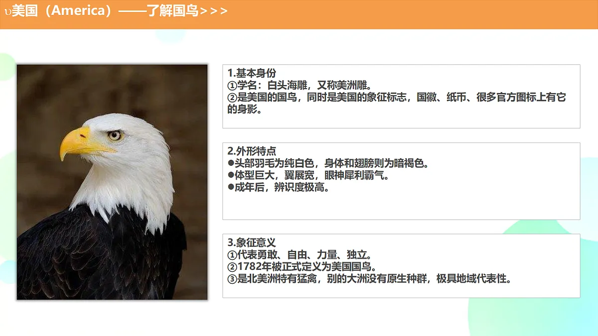 18385936第2页