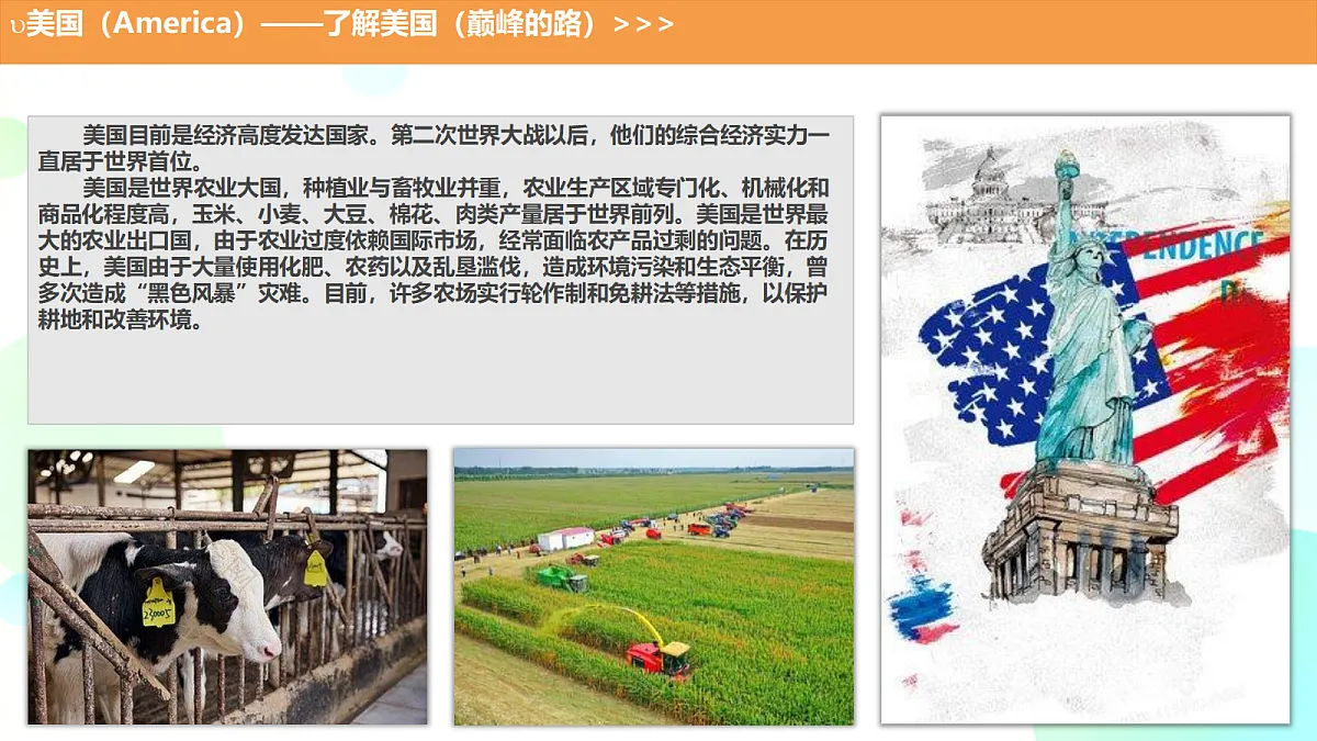 18385936第7页