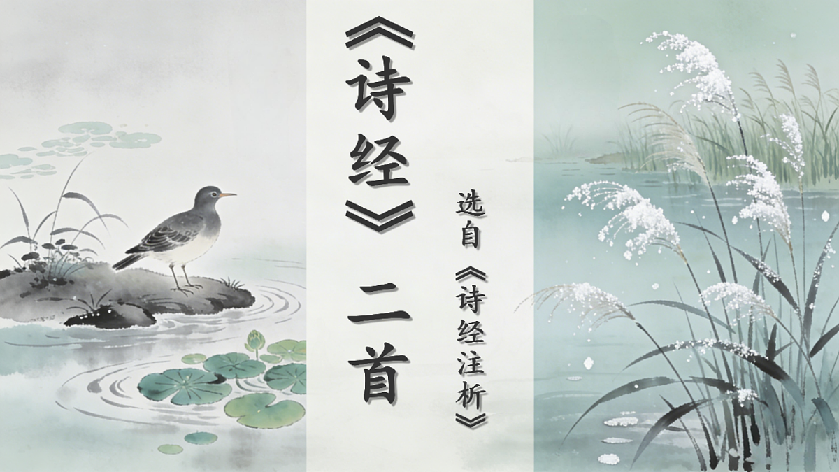 18385979第3页