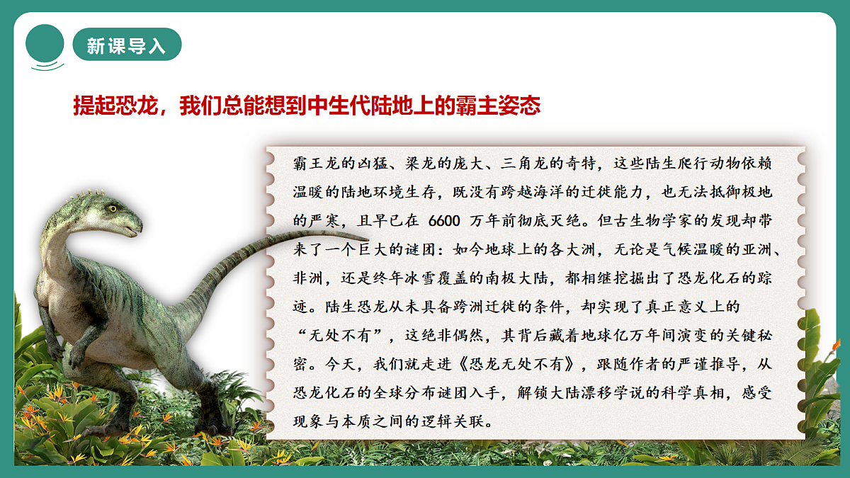 18385986第3页