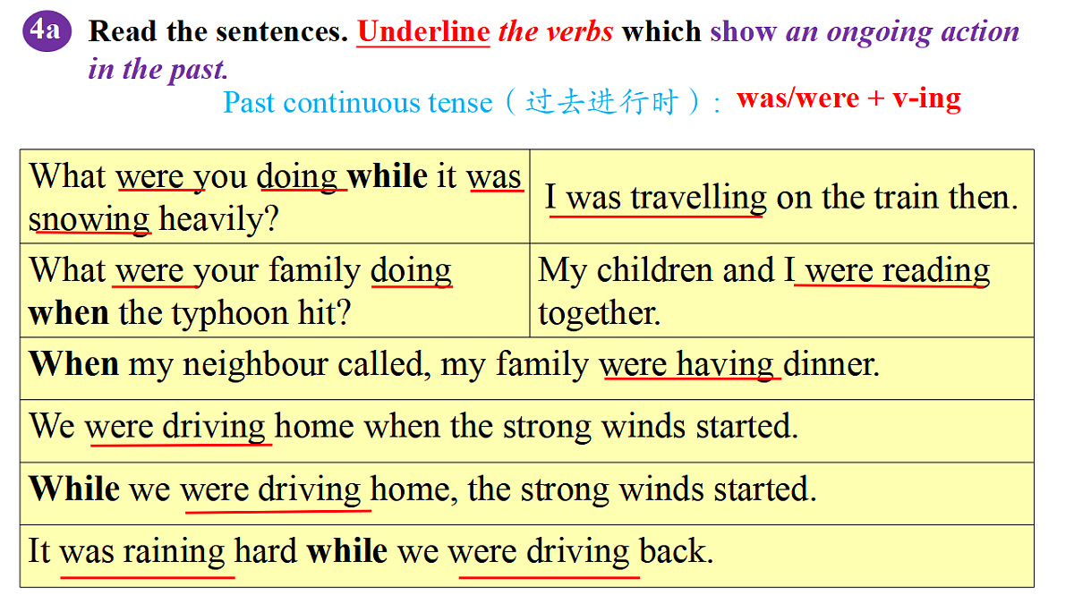 18386195第3页