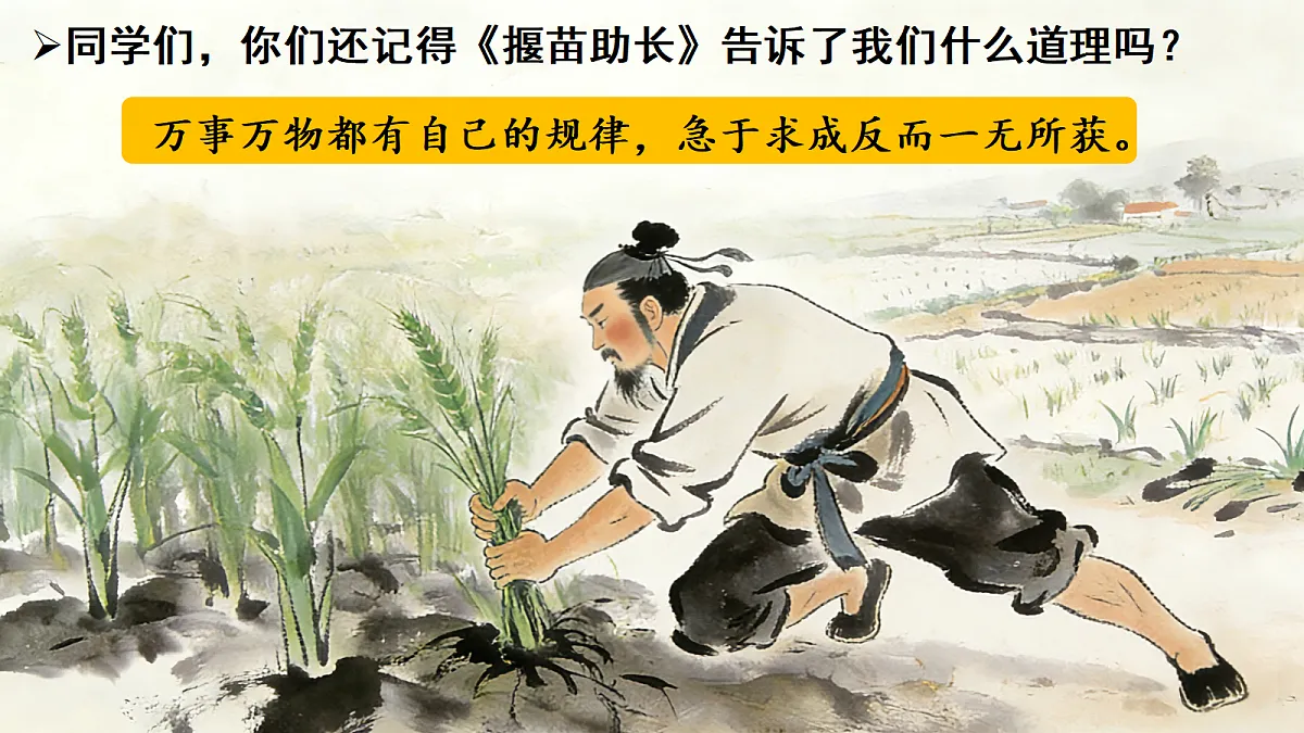 18386381第2页