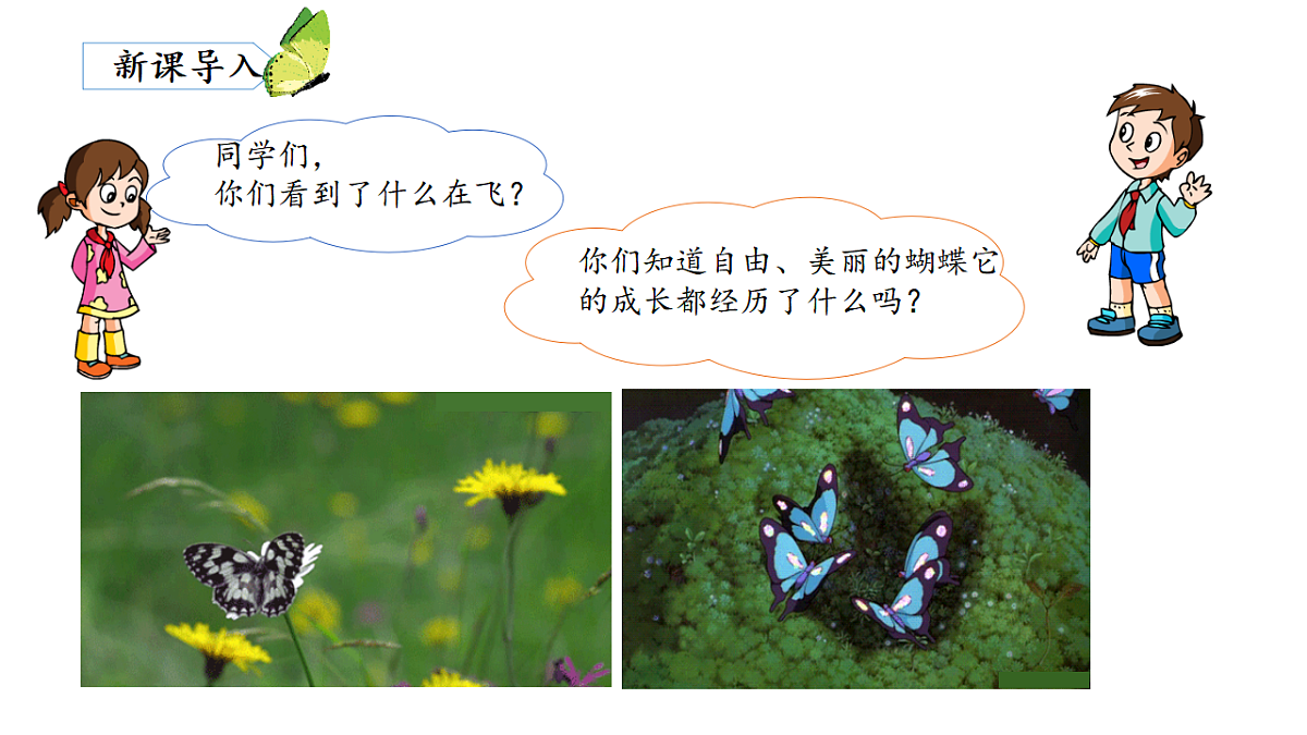 18387293第2页