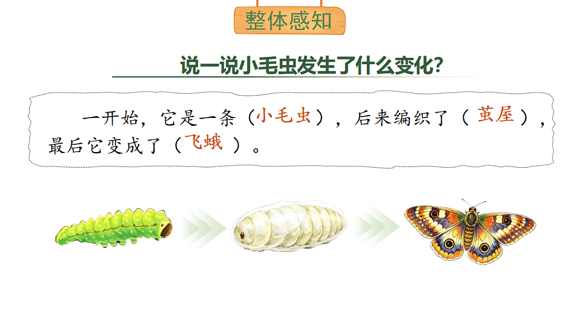 18387293第8页