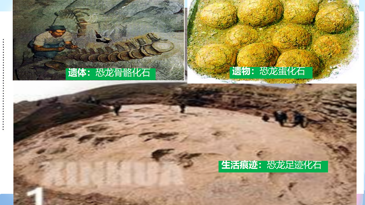 18387864第5页