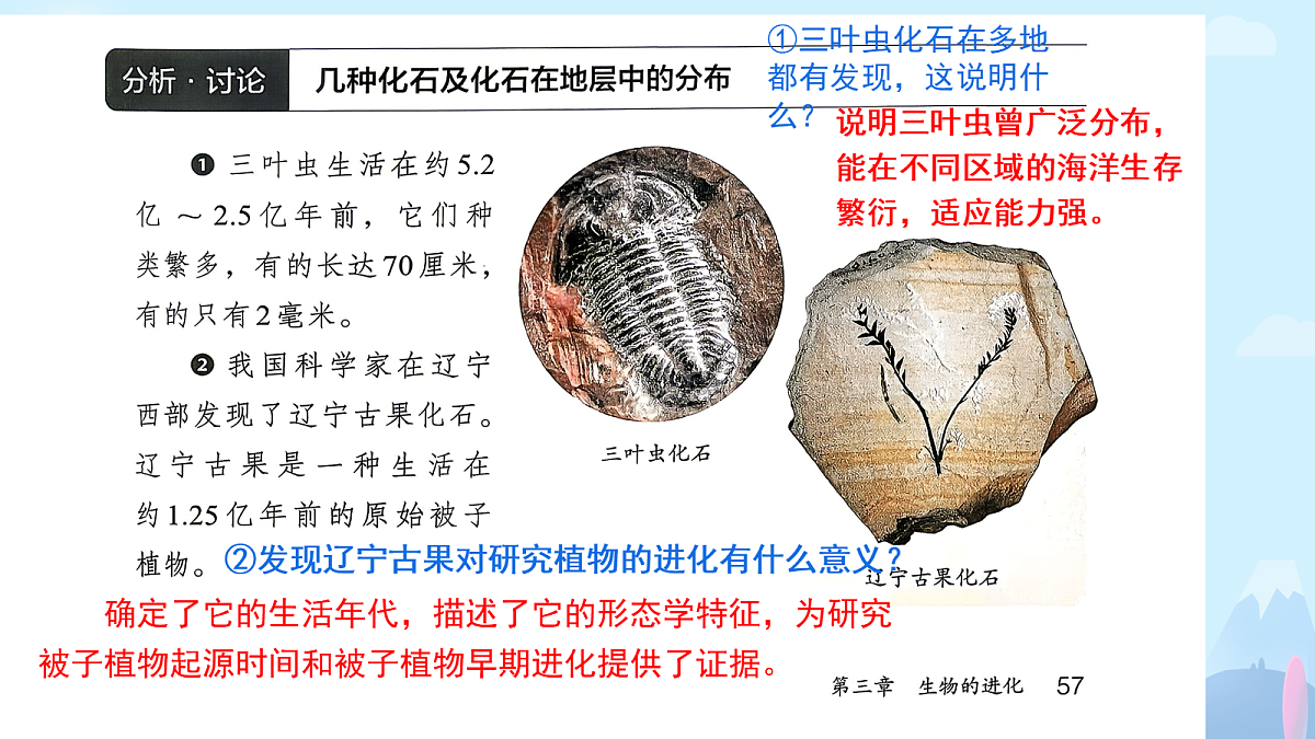 18387864第6页