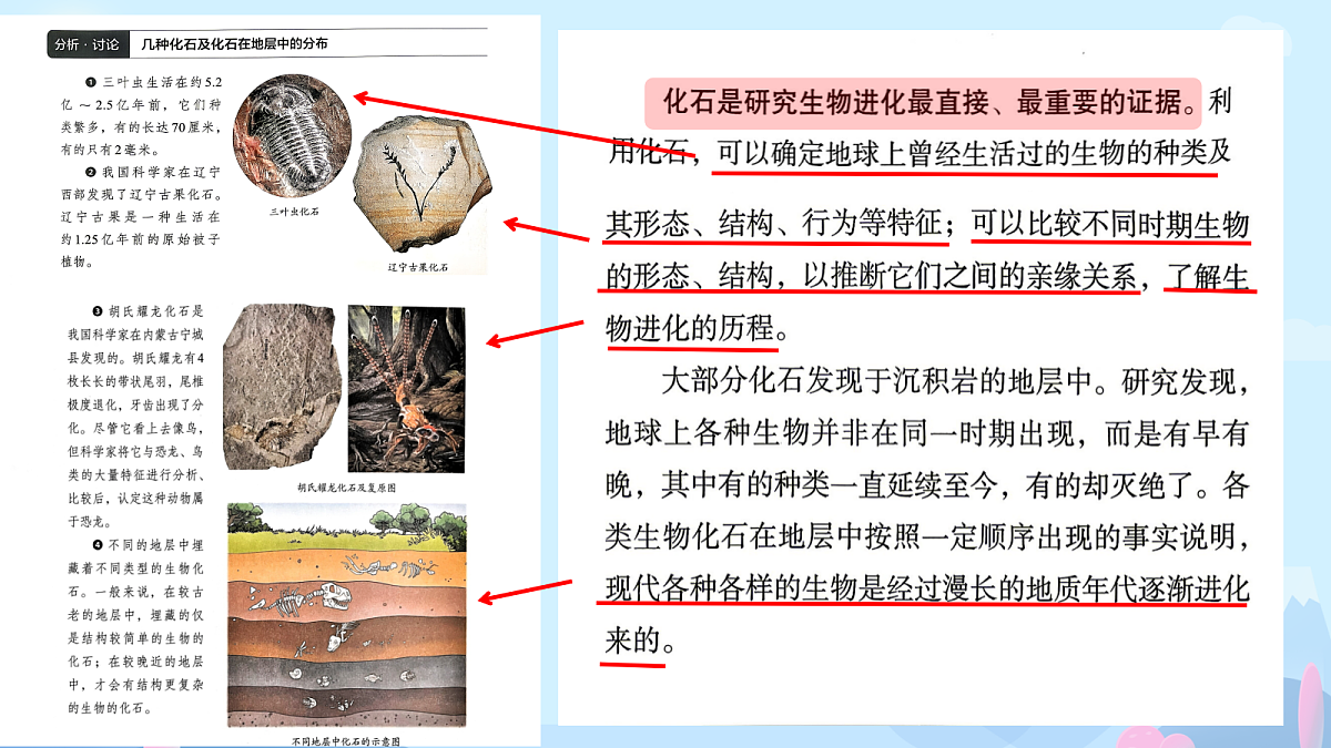 18387864第8页