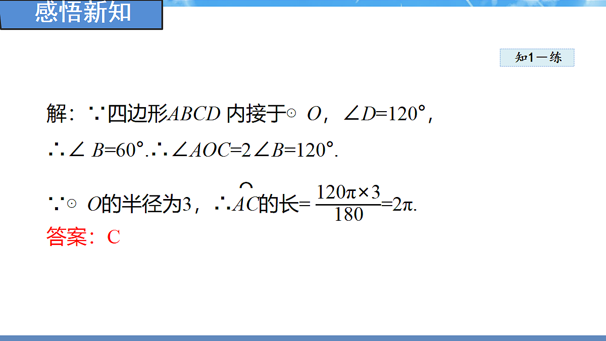 18388293第7页
