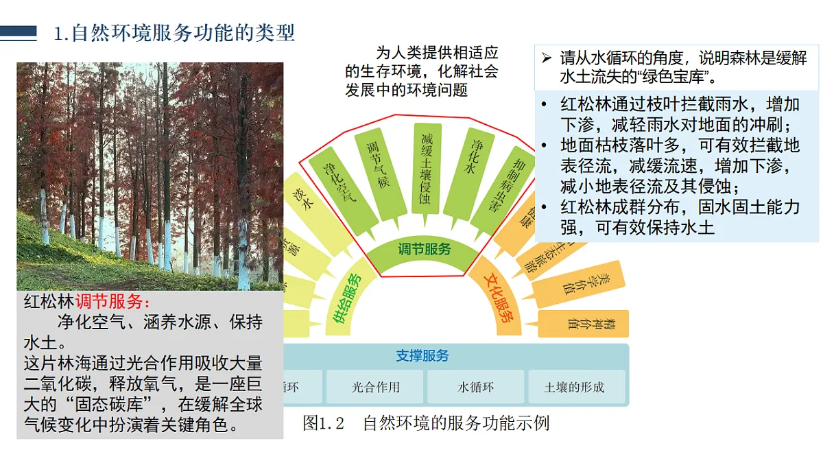 18388637第8页