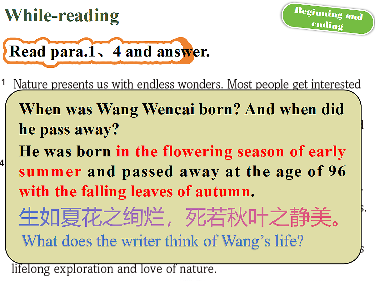 18388645第8页