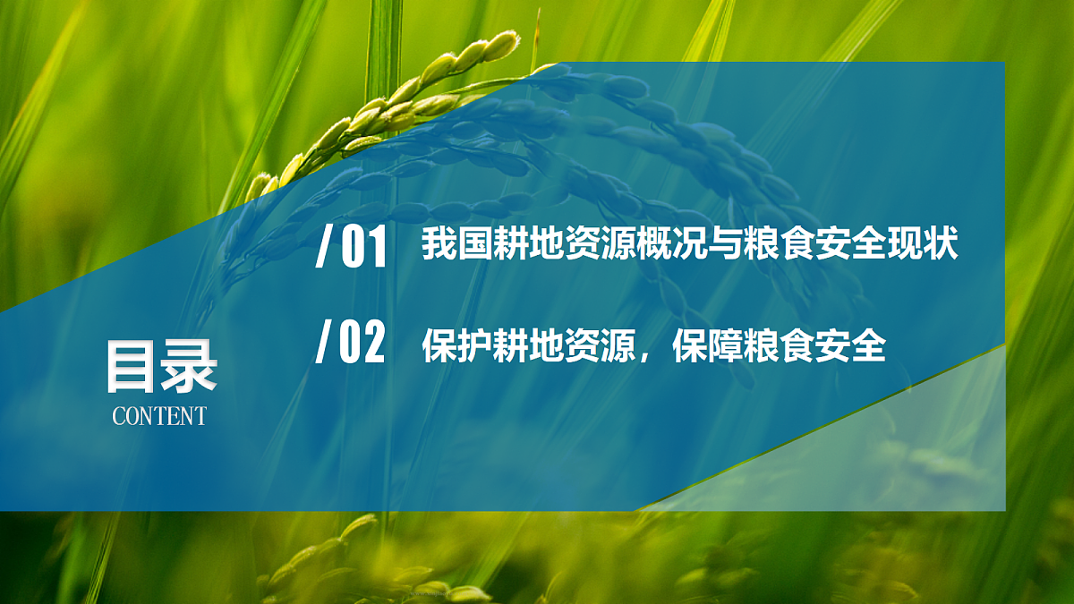 18390520第5页
