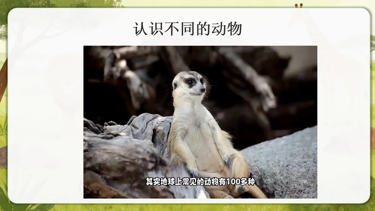 18390594第7页