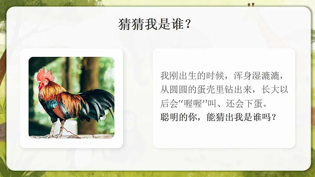 18390595第4页