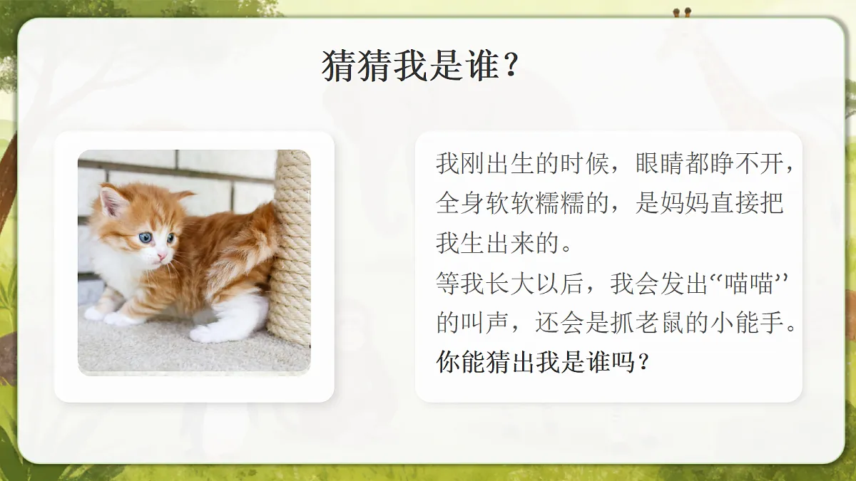 18390595第5页
