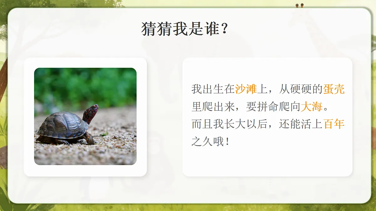 18390595第6页
