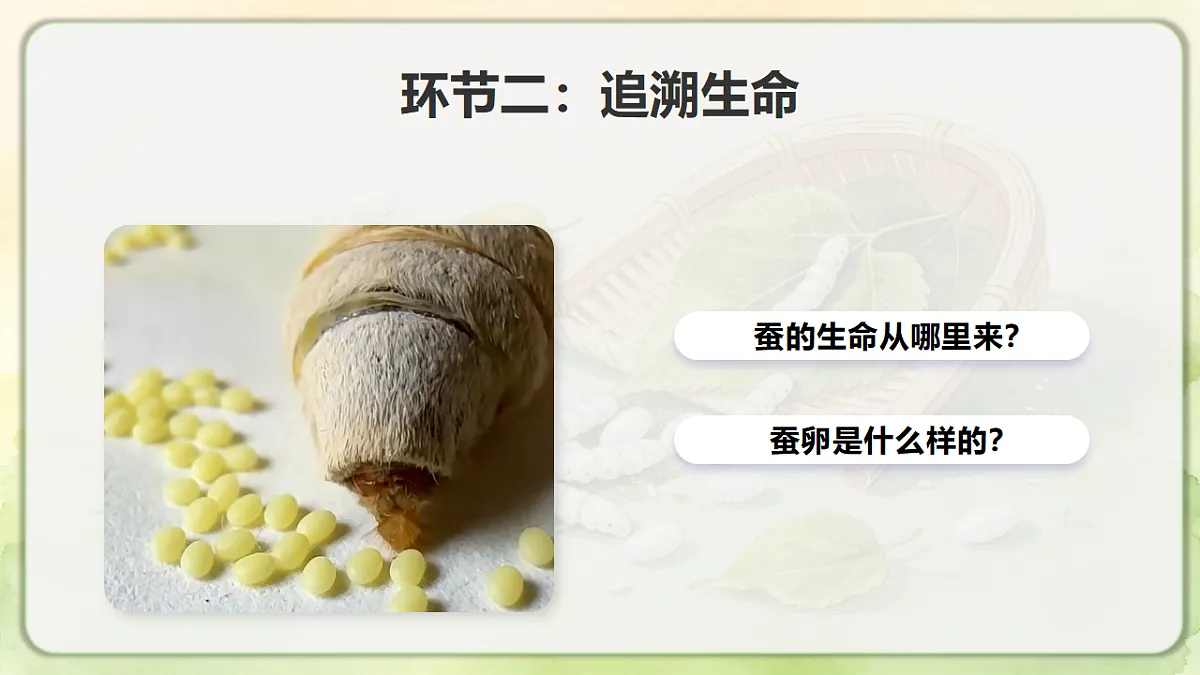 18390596第5页