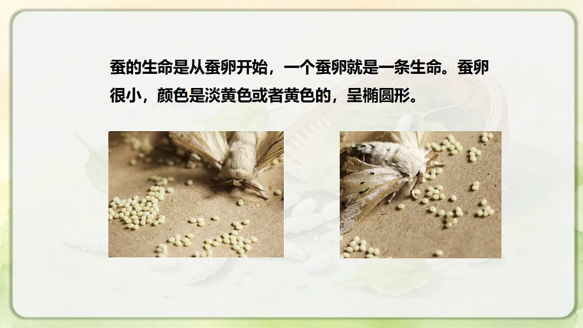 18390596第6页