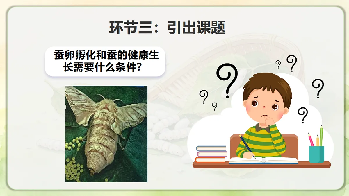 18390596第7页