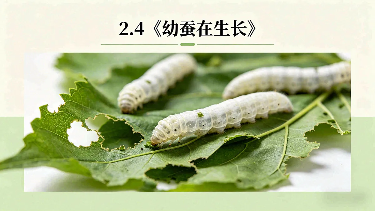 18390597第1页