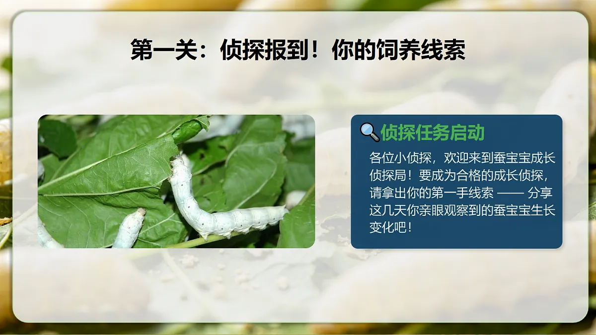 18390597第3页