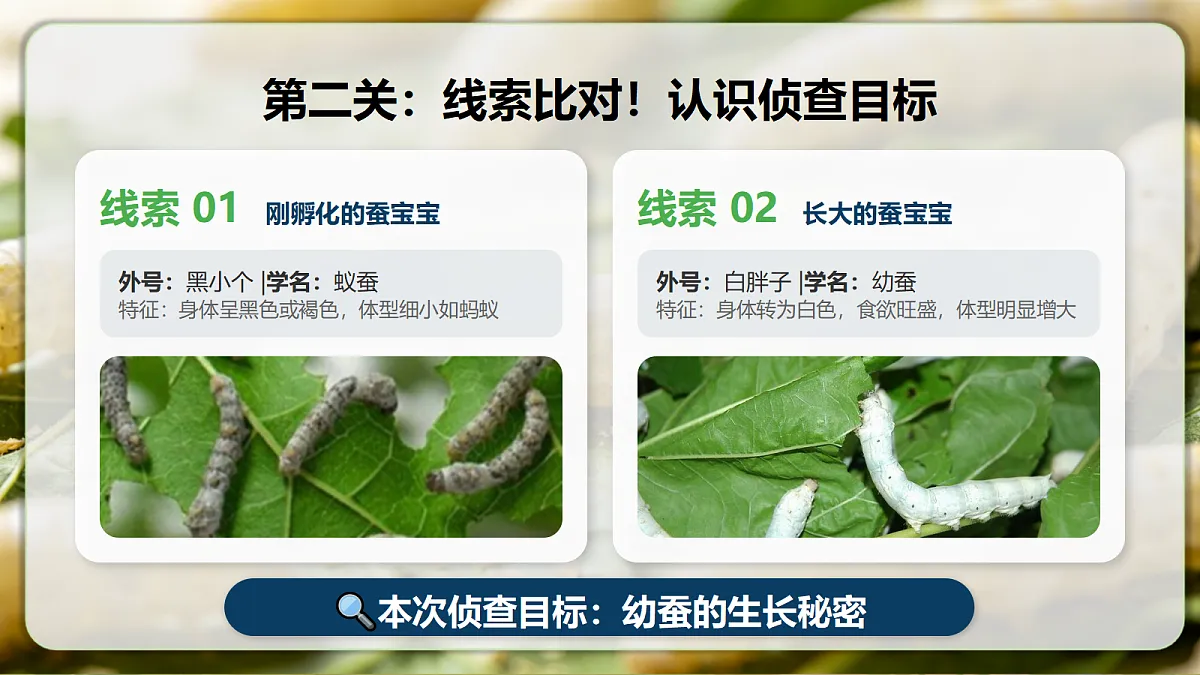 18390597第4页