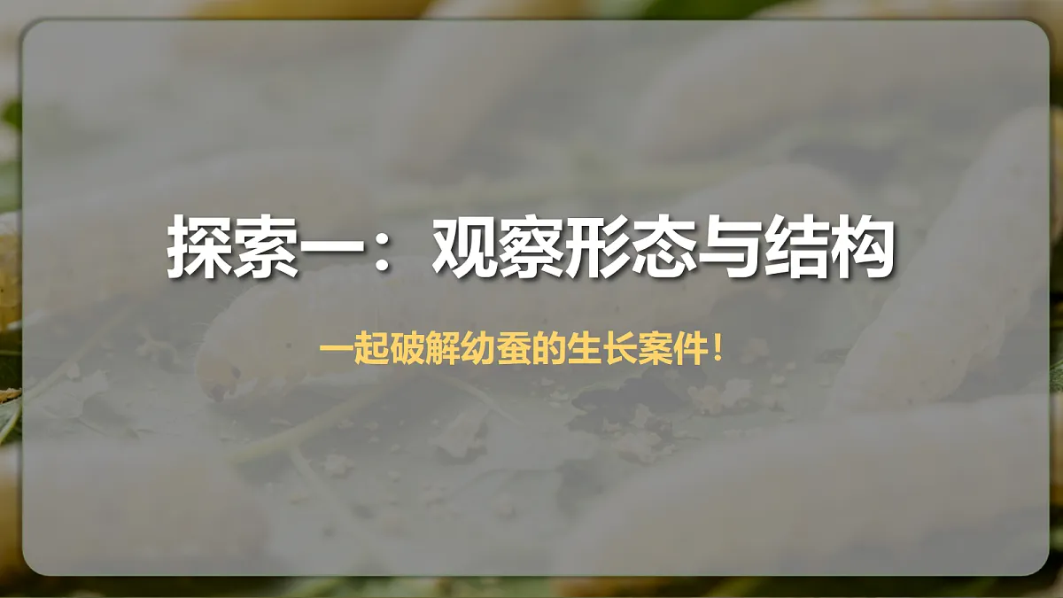 18390597第8页