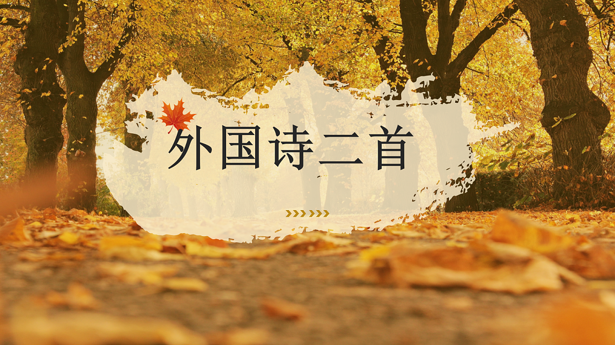 18391297第1页
