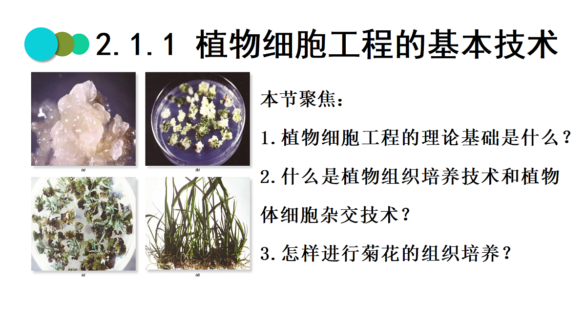 18393221第1页