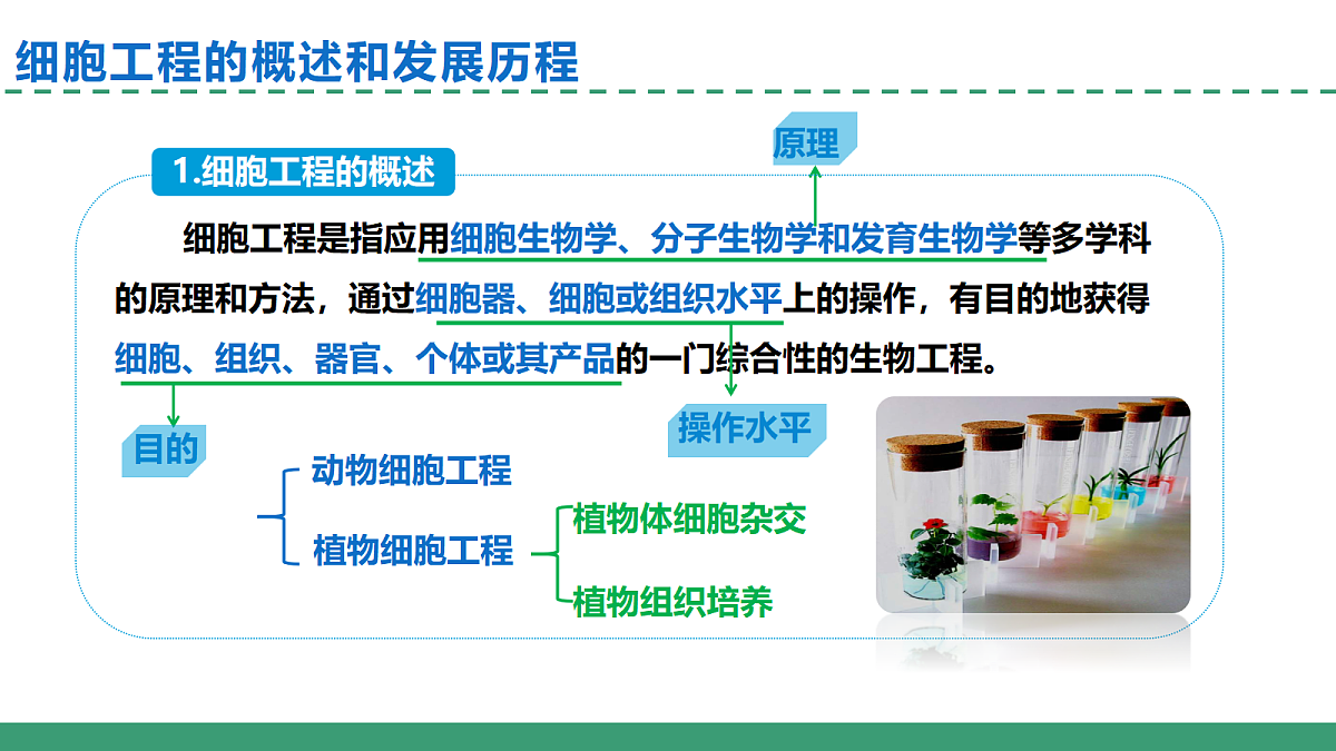 18393221第2页