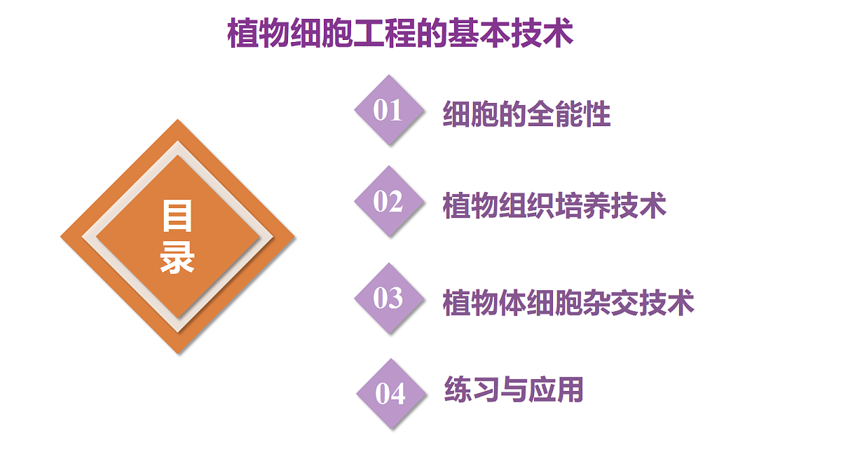 18393221第3页