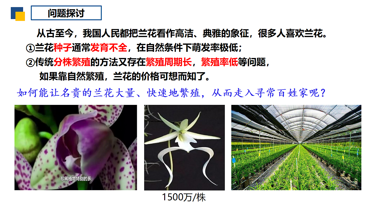 18393221第4页