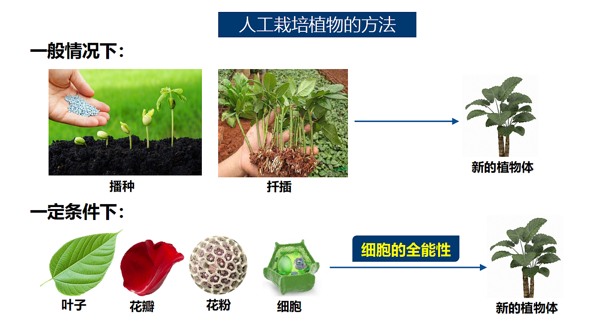 18393221第5页