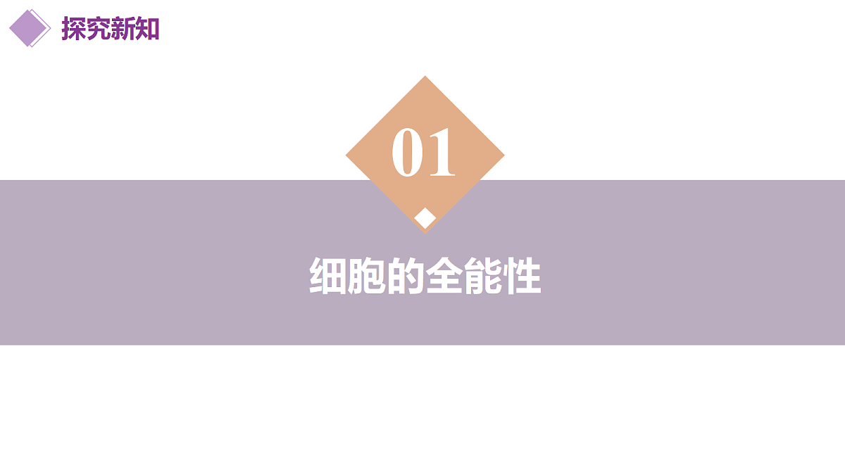 18393221第6页