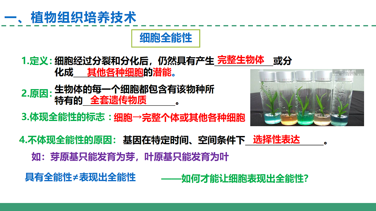 18393221第7页