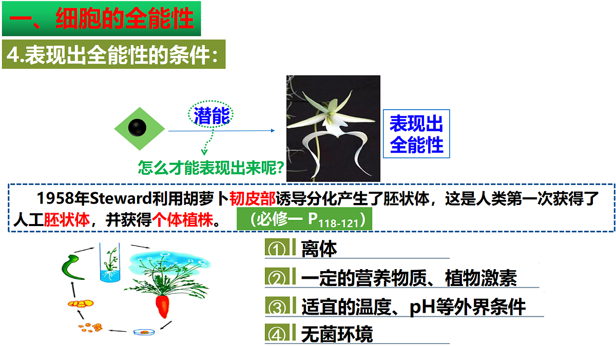 18393221第8页