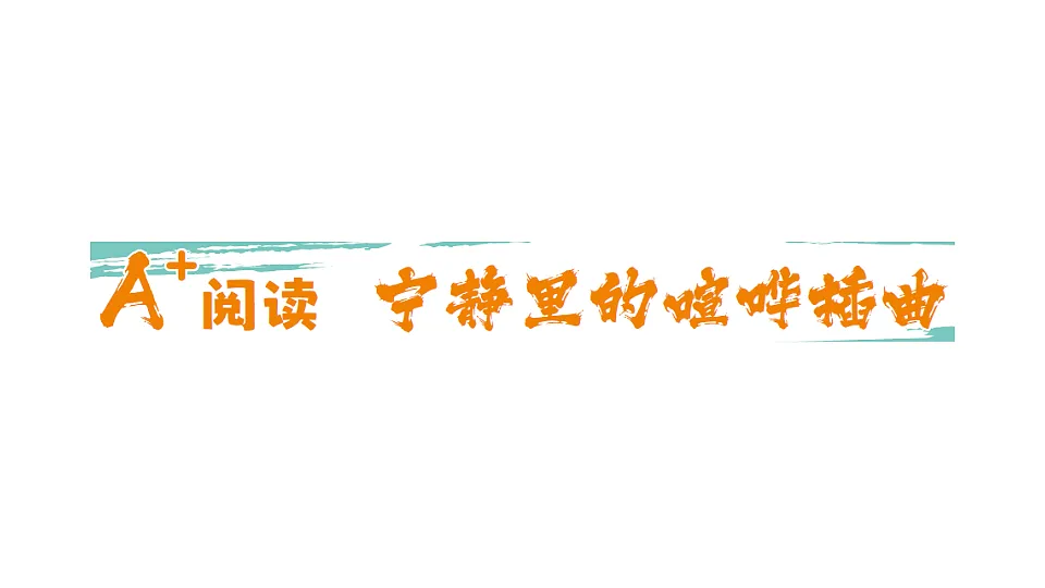 18393606第1页
