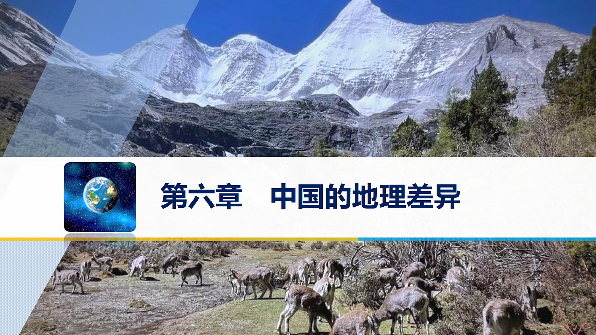 18394307第1页