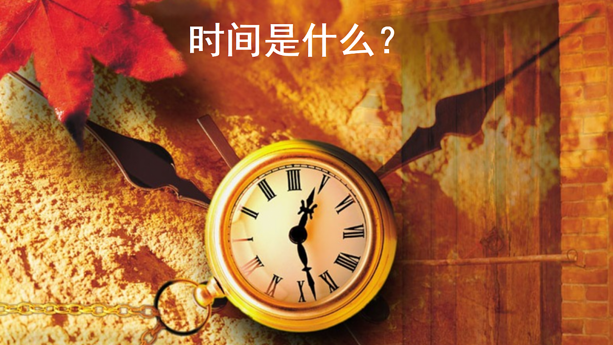 18397066第5页
