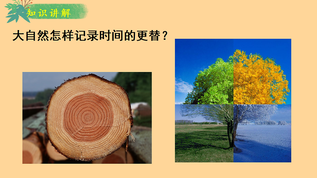18397066第6页