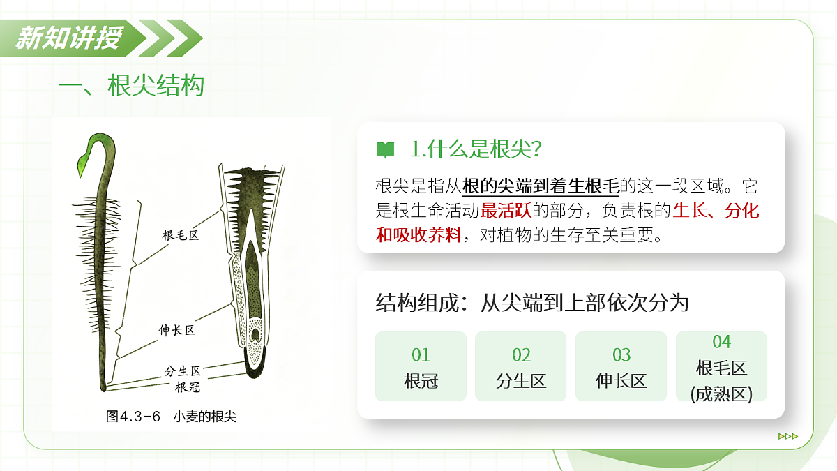 18397143第7页