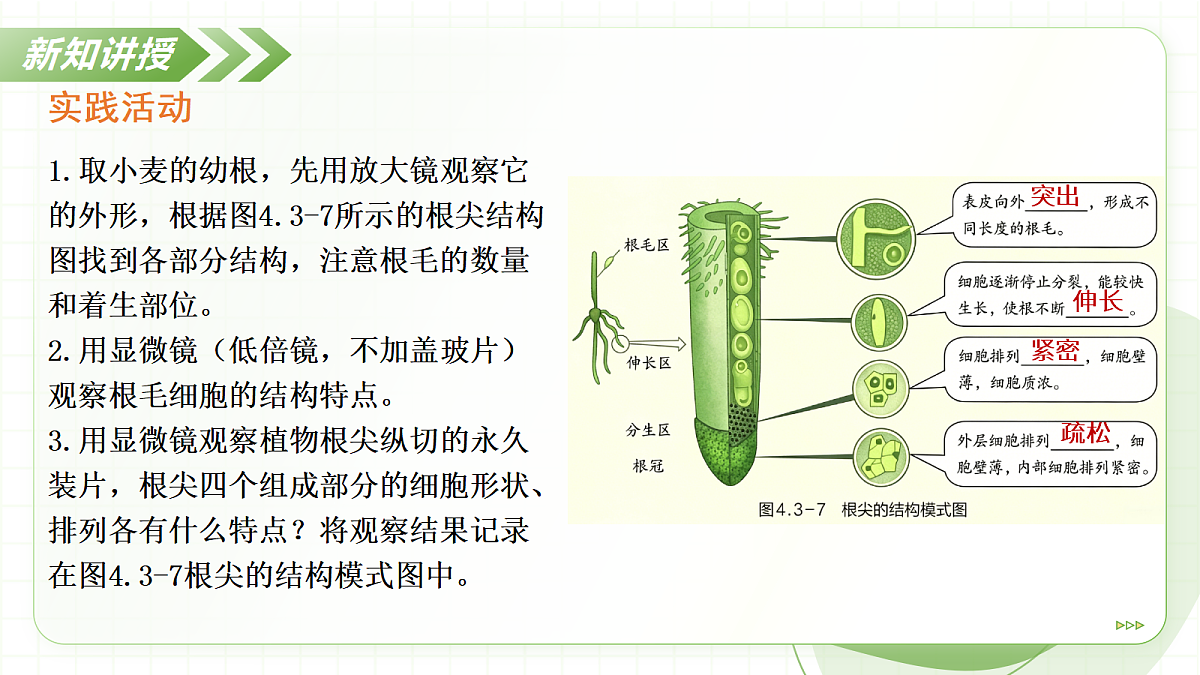 18397143第8页