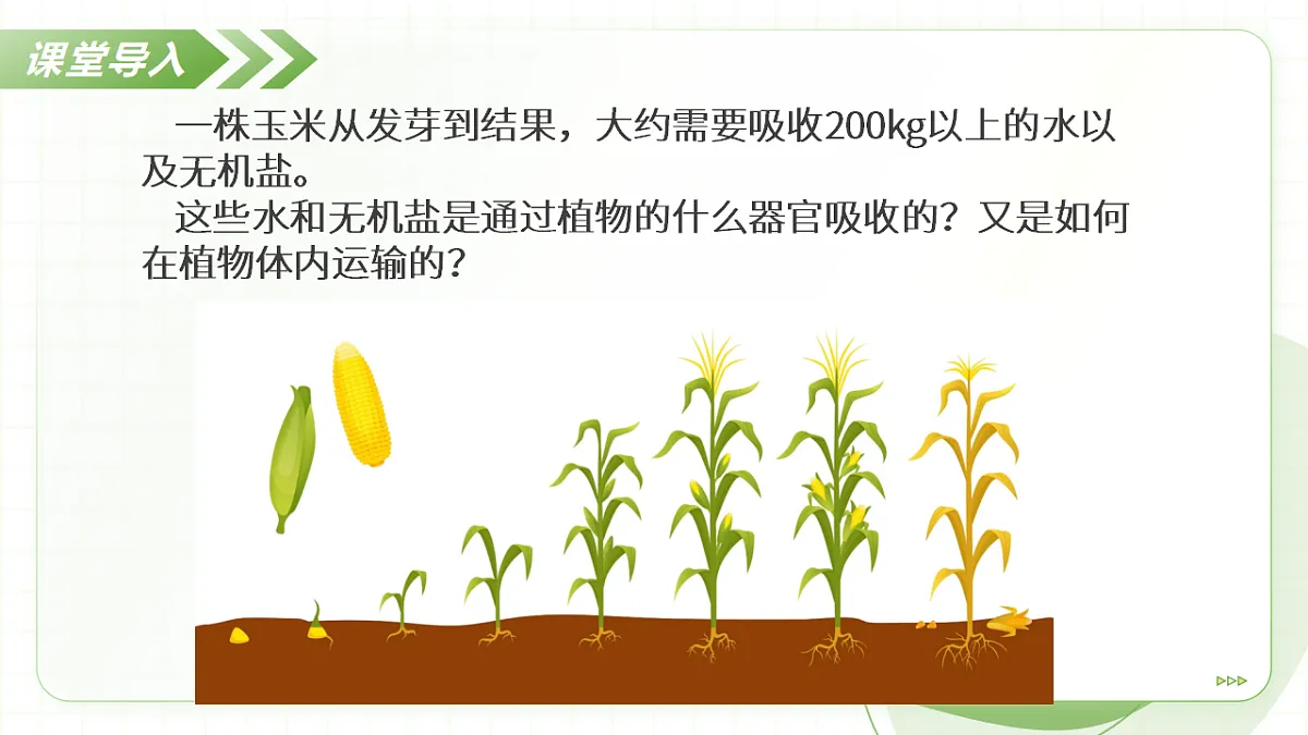 18397144第5页
