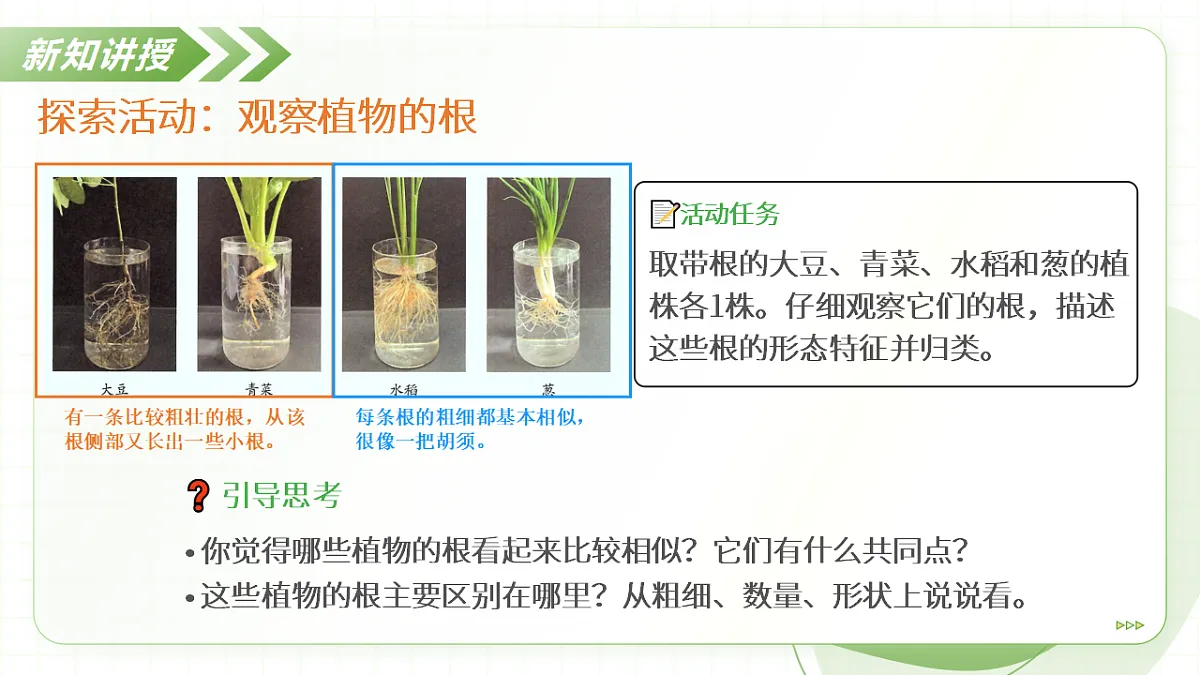 18397144第7页