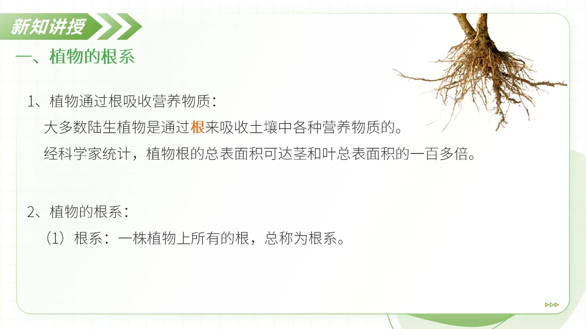 18397144第8页