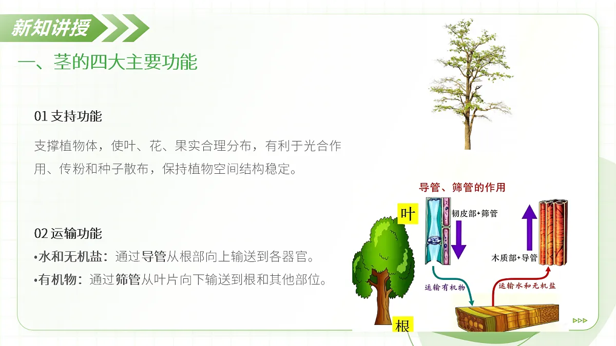 18397147第6页