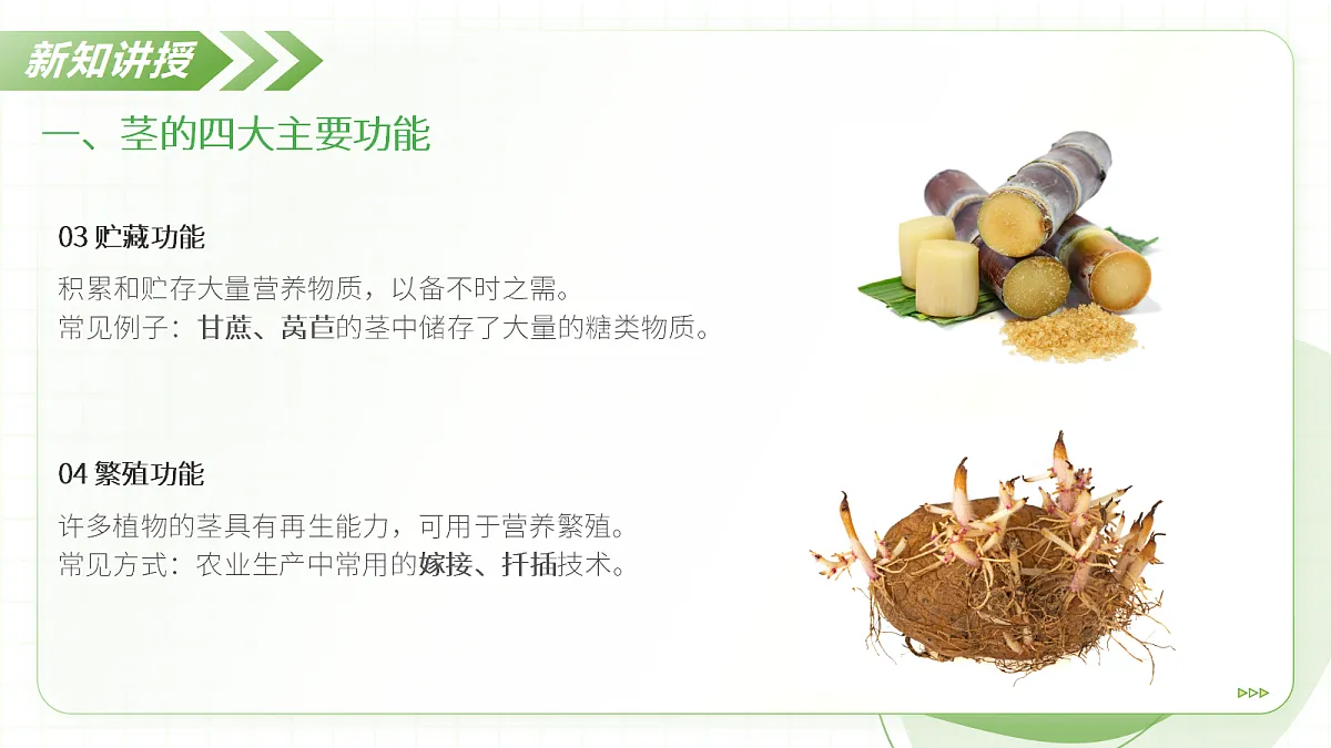 18397147第7页
